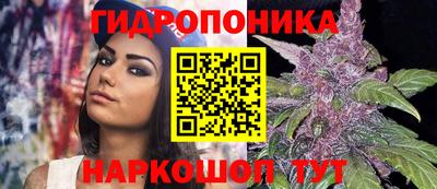 гидра Каменск-Шахтинский