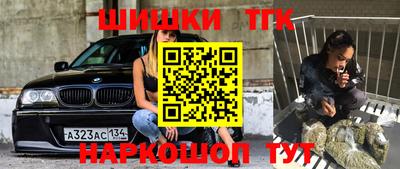винт Камень-на-Оби