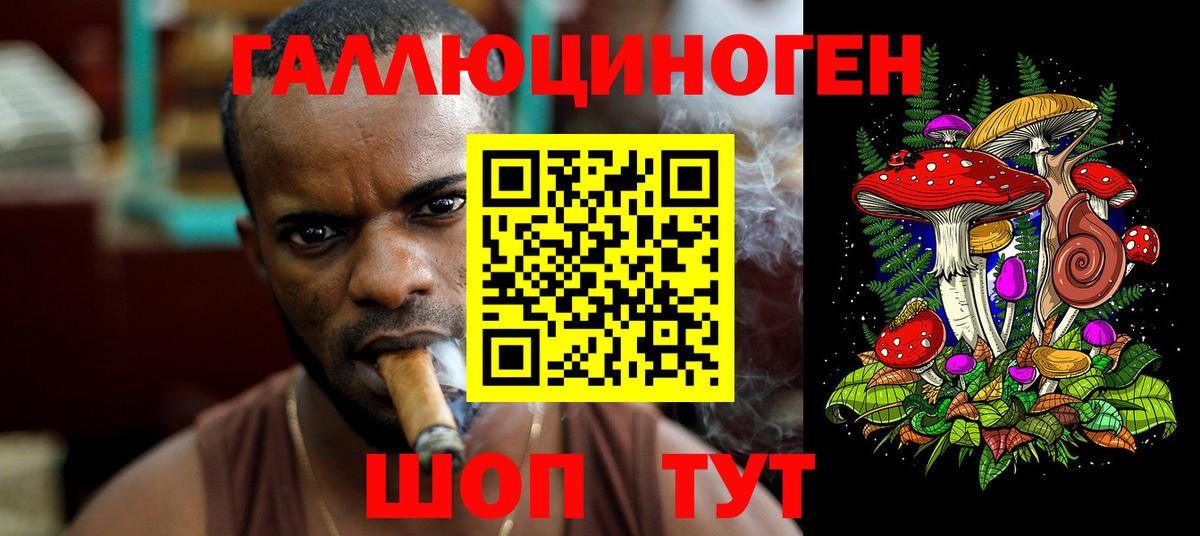 Верхняя Пышма  Галлюциногенные грибы Magic Shrooms  Вход с VPN 